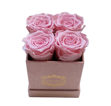 Prairies and Petals Diora Arrangement with Parisian Style Pink Box