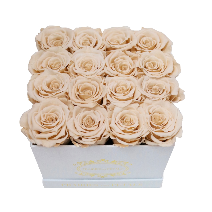 Image 698094_CHM.jpg, Product 698-094 / Price $249.00, Prairies and Petals Signature Square Arrangement with Parisian Style White Box from Prairies And Petals on TSC.ca's Home & Garden department