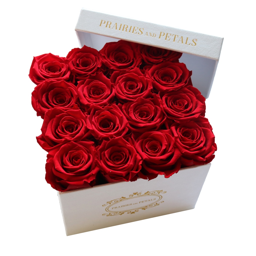 Image 698094_RED.jpg, Product 698-094 / Price $249.00, Prairies and Petals Signature Square Arrangement with Parisian Style White Box from Prairies And Petals on TSC.ca's Home & Garden department