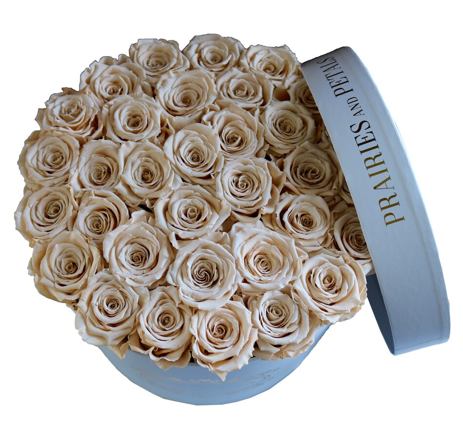 Image 698096_CHM.jpg, Product 698-096 / Price $359.00, Prairies and Petals Large Signature Round Arrangement (36 Roses) from Prairies And Petals on TSC.ca's Home & Garden department