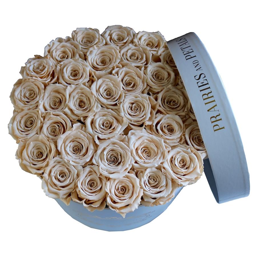 Image 698096_CHM.jpg, Product 698-096 / Price $399.00, Prairies and Petals Large Signature Round Arrangement (36 Roses) from Prairies And Petals on TSC.ca's Home & Garden department