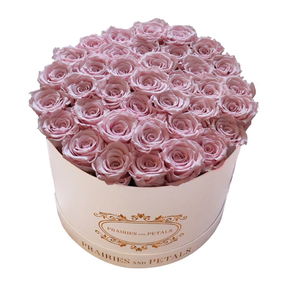 Image 698096_PNK.jpg, Product 698-096 / Price $399.00, Prairies and Petals Large Signature Round Arrangement (36 Roses) from Prairies And Petals on TSC.ca's Home & Garden department