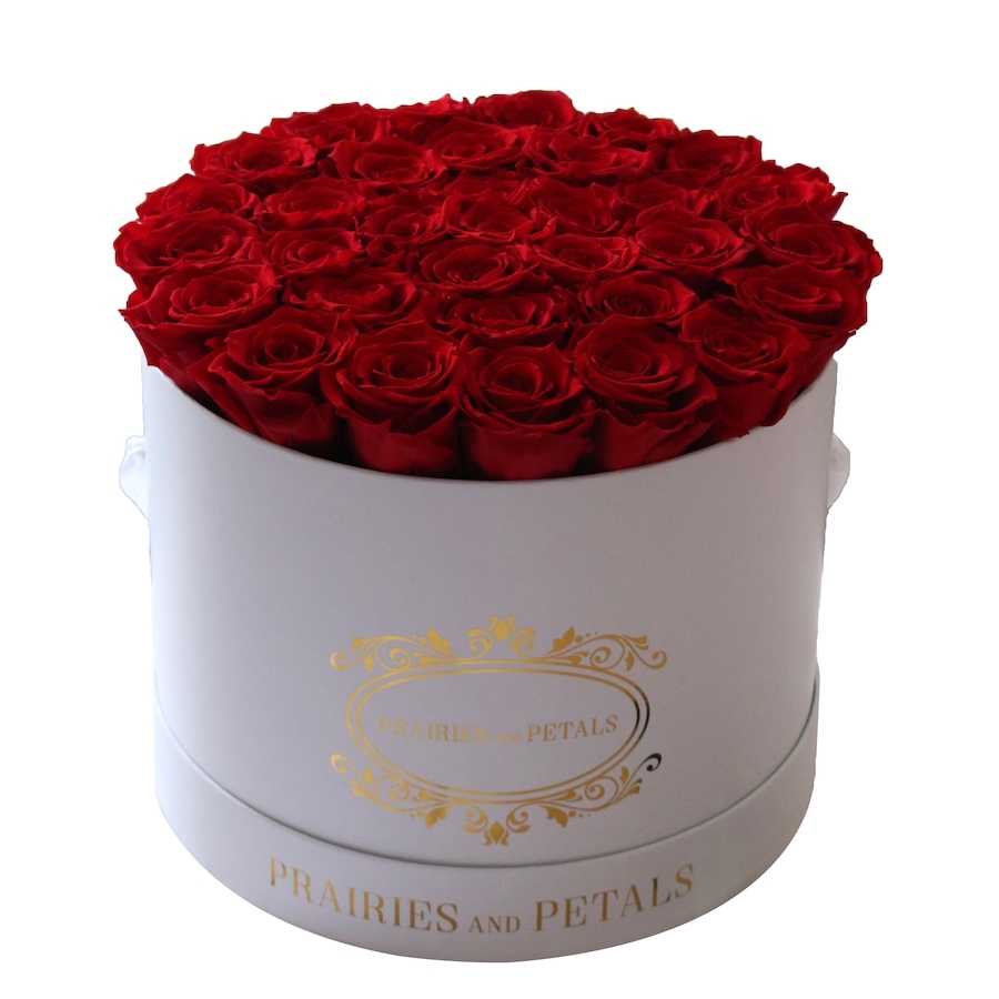 Image 698096_RED.jpg, Product 698-096 / Price $399.00, Prairies and Petals Large Signature Round Arrangement (36 Roses) from Prairies And Petals on TSC.ca's Home & Garden department