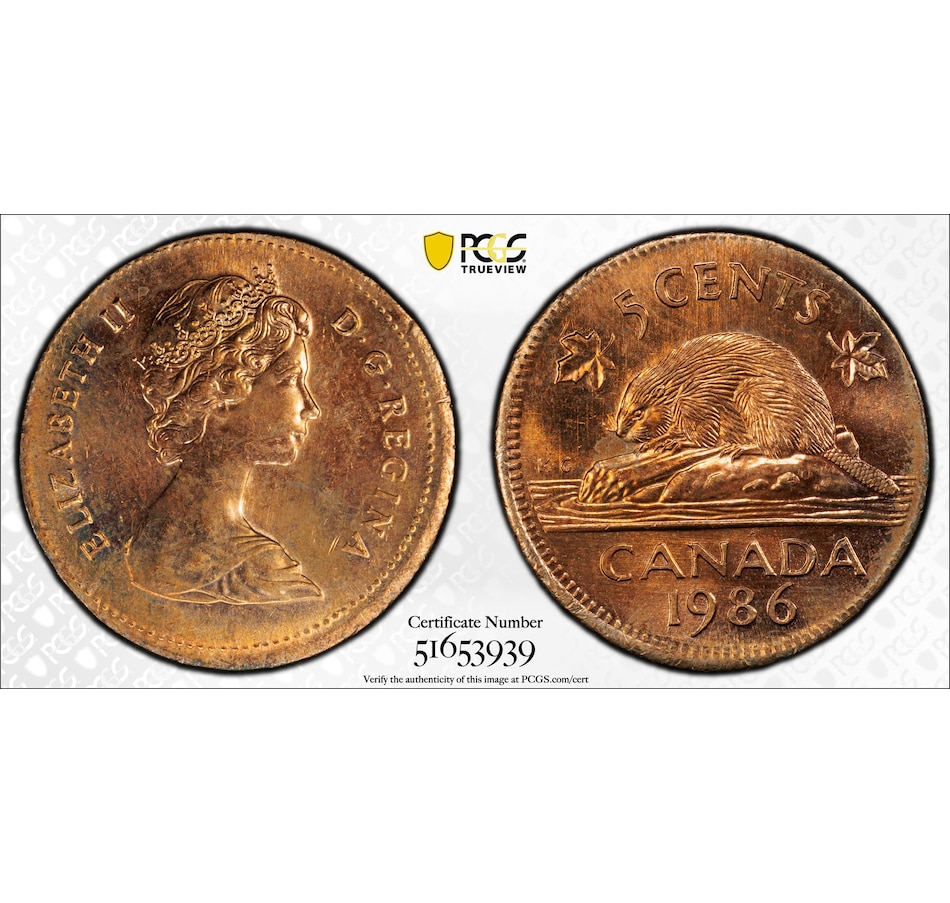 Image 701361_ALTMORE2.jpg, Product 701-361 / Price $749.95, Rare Canadian Major Error Coin: Uncirculated 1986 Five-Cent Struck on One-Cent Blank, PCGS Certified MS-64 from Canadian Coin & Currency on TSC.ca's Coins department