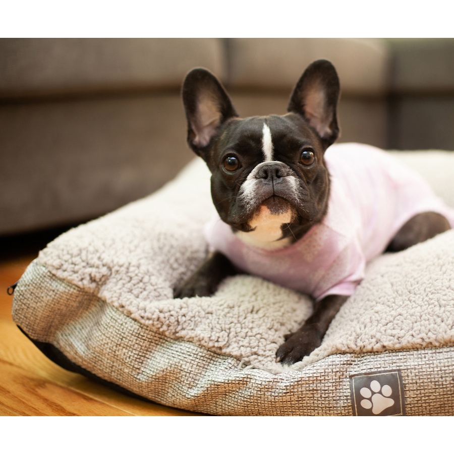 Image 701675_ALTMORE1.jpg, Product 701-675 / Price $46.99, Snuggles Sherpa Dog Bed from Snuggles on TSC.ca's Home & Garden department
