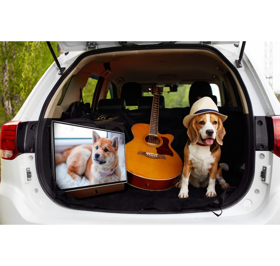 Image 702263_ALTMORE6.jpg, Product 702-263 / Price $549.99, Skyworth 24" Portable HD Google TV from Skyworth on TSC.ca's Electronics department