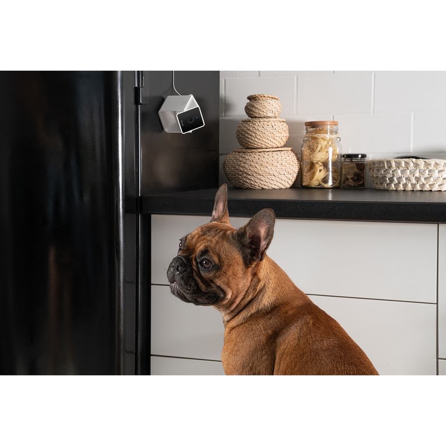 Image 702305_ALTMORE5.jpg, Product 702-305 / Price $49.99, Petcube Cam WiFi Pet and Security Camera from Petcube on TSC.ca's department