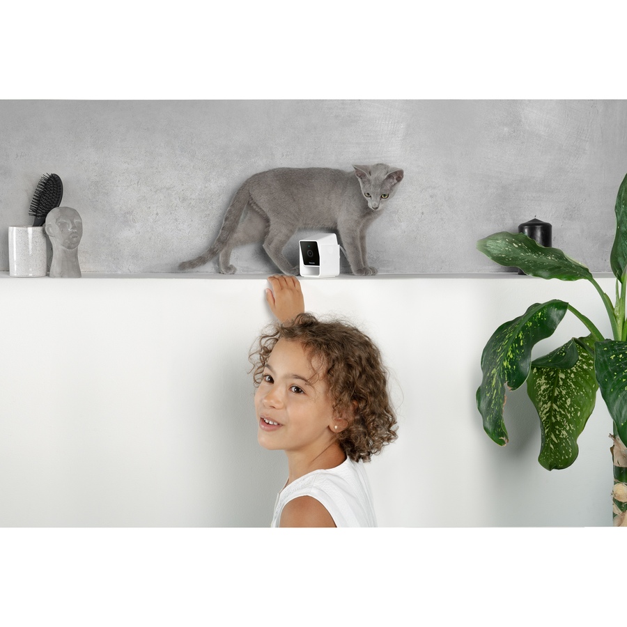 Image 702305_ALTMORE6.jpg, Product 702-305 / Price $49.99, Petcube Cam WiFi Pet and Security Camera from Petcube on TSC.ca's department