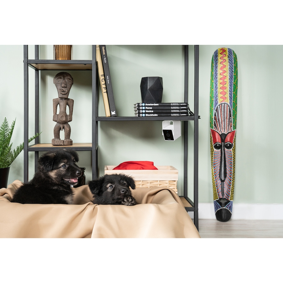 Image 702305_ALTMORE7.jpg, Product 702-305 / Price $49.99, Petcube Cam WiFi Pet and Security Camera from Petcube on TSC.ca's department