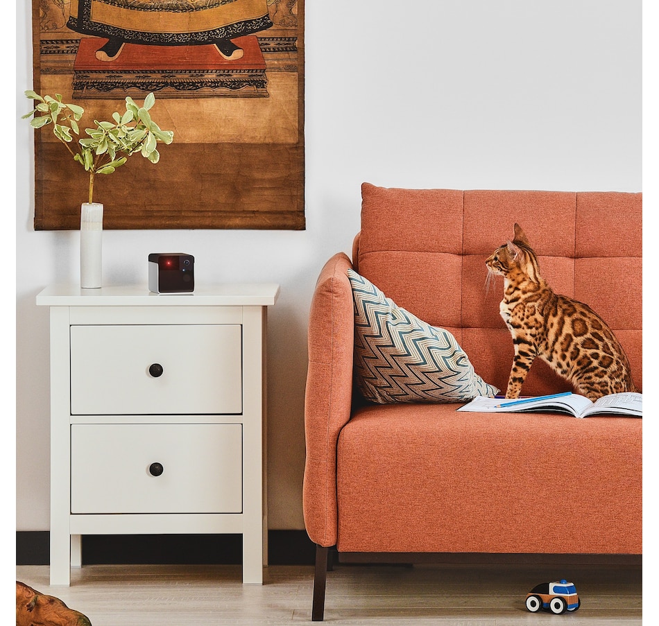 Image 702307_ALTMORE4.jpg, Product 702-307 / Price $125.99, Petcube Play 2 Pet Camera with Laser Toy from Petcube on TSC.ca's Electronics department