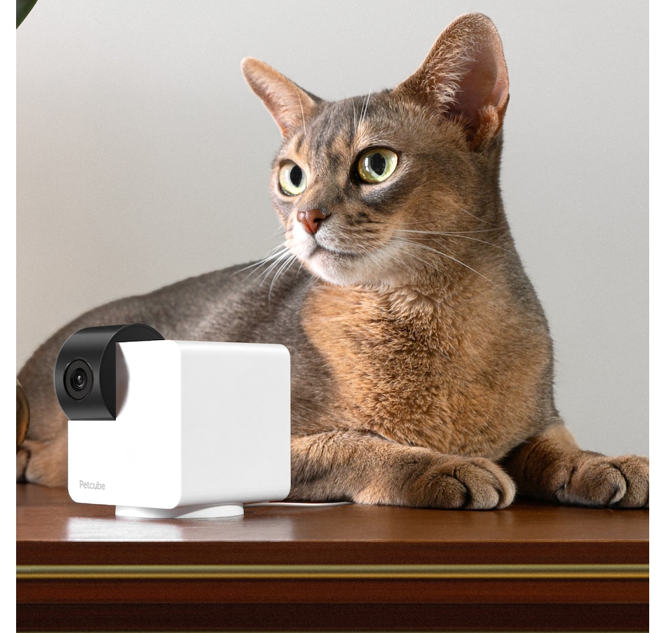 Image 702308_ALTMORE4.jpg, Product 702-308 / Price $79.99, Petcube Cam 360 Interactive Pet Camera from Petcube on TSC.ca's Electronics department