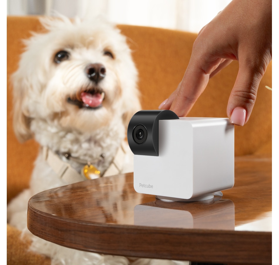 Image 702308_ALTMORE5.jpg, Product 702-308 / Price $79.99, Petcube Cam 360 Interactive Pet Camera from Petcube on TSC.ca's Electronics department