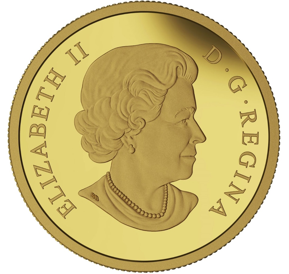 Image 703287_ALTMORE1.jpg, Product 703-287 / Price $349.95, 2017 Half-Dollar Gold Coin - Silver Maple Leaf from Royal Canadian Mint (RCM) on TSC.ca's Coins department