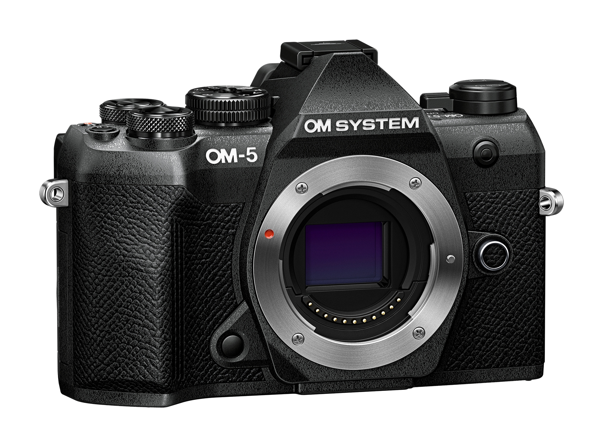 【良品】OM System OM-1 ボディ OM System OM-1 Mark II Mirrorless Camera (body only) - TSC.ca