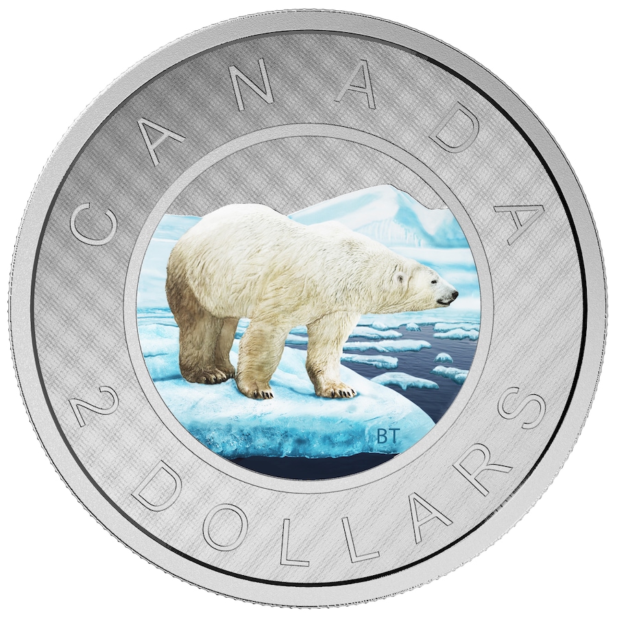 Image 704502.jpg, Product 704-502 / Price $899.95, 2016 Polar Bear $2 Big Coin in Colour Five-Ounce Fine Silver from Royal Canadian Mint (RCM) on TSC.ca's Coins department