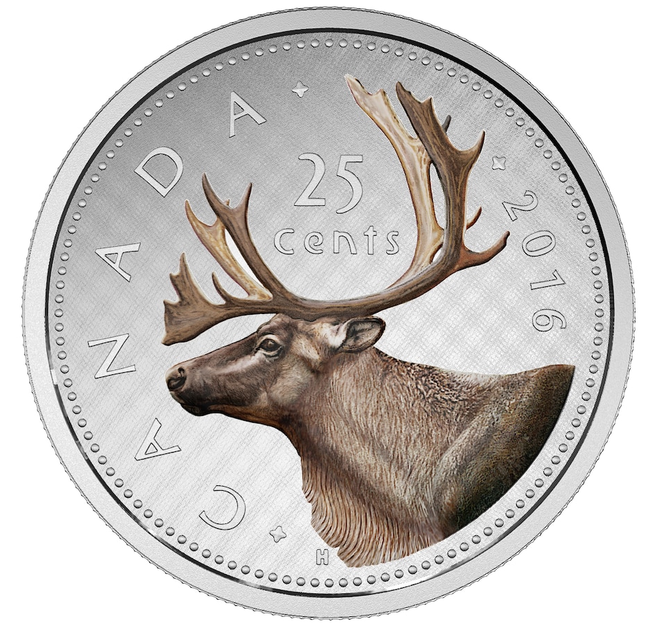 Image 704504.jpg, Product 704-504 / Price $619.95, 2016 Caribou Quarter Big Coin Five-Ounce Fine Silver with Colour from Royal Canadian Mint (RCM) on TSC.ca's Coins department