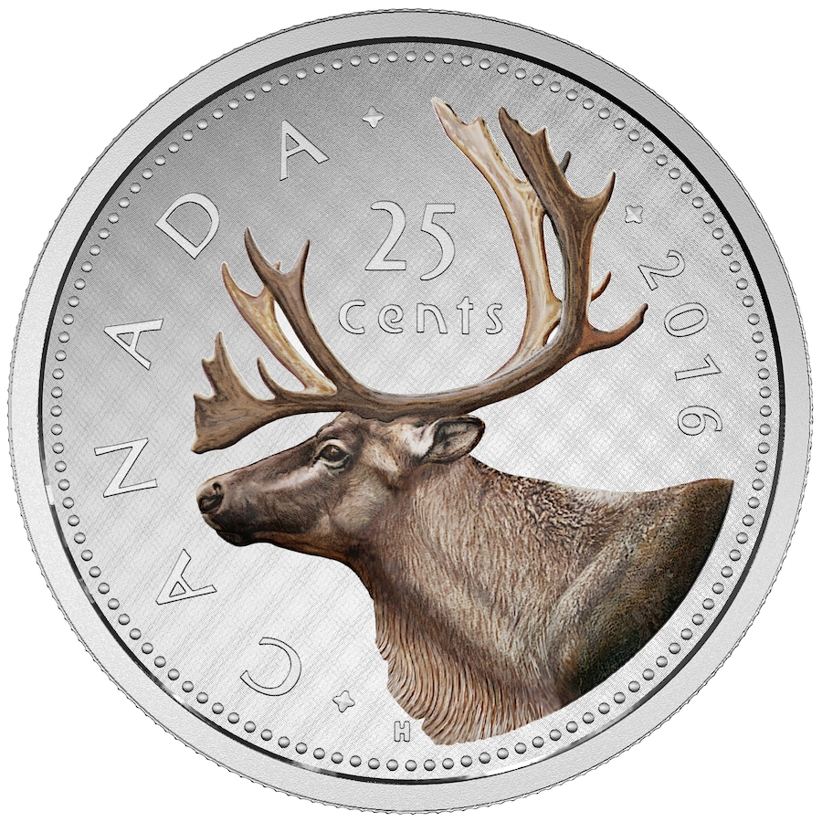 Image 704504.jpg, Product 704-504 / Price $899.95, 2016 Caribou Quarter Big Coin Five-Ounce Fine Silver with Colour from Royal Canadian Mint (RCM) on TSC.ca's Coins department