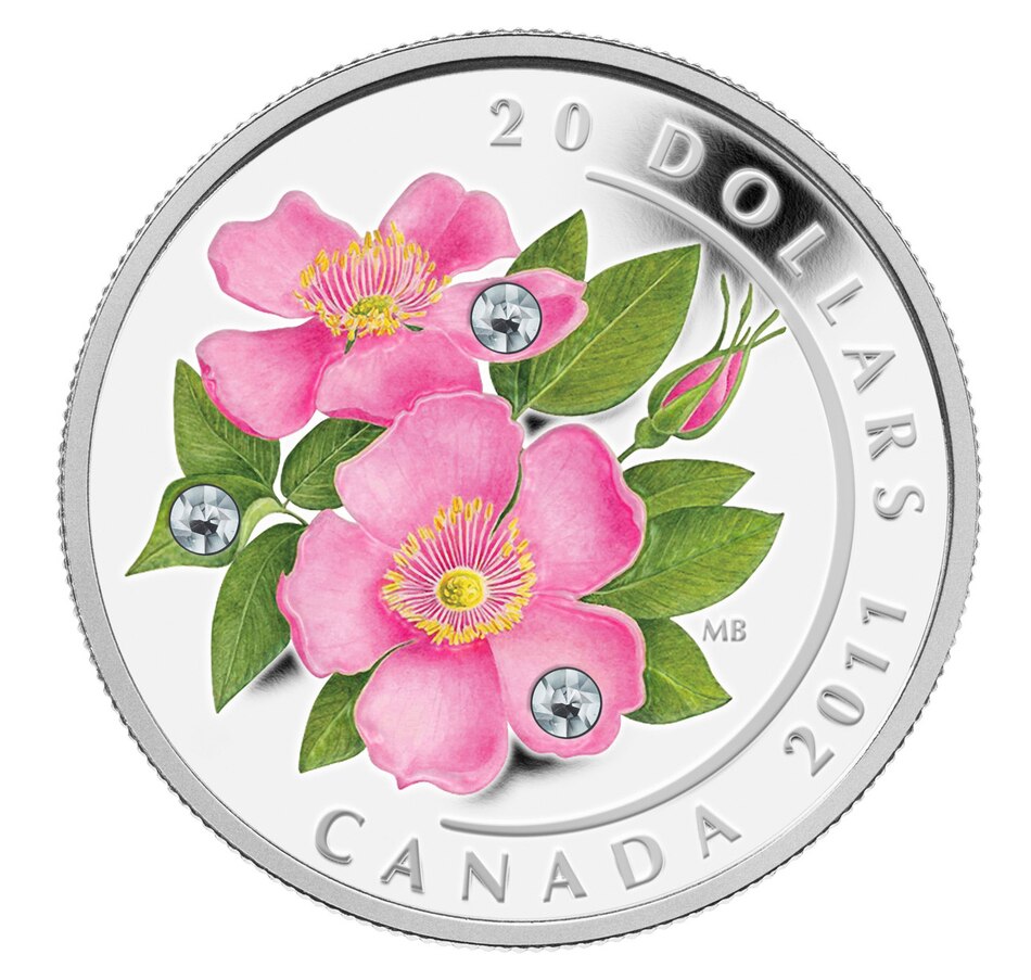 Toys & Hobbies - Coins - 2011 $20 Wild Rose - Online Shopping for Canadians