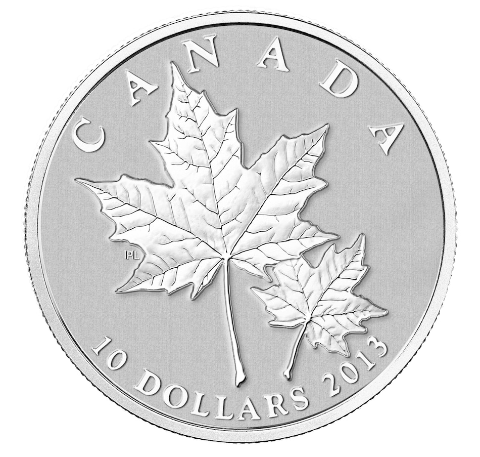 Canadia  Icons Fine Silver Five Coin Set silver color set 2013