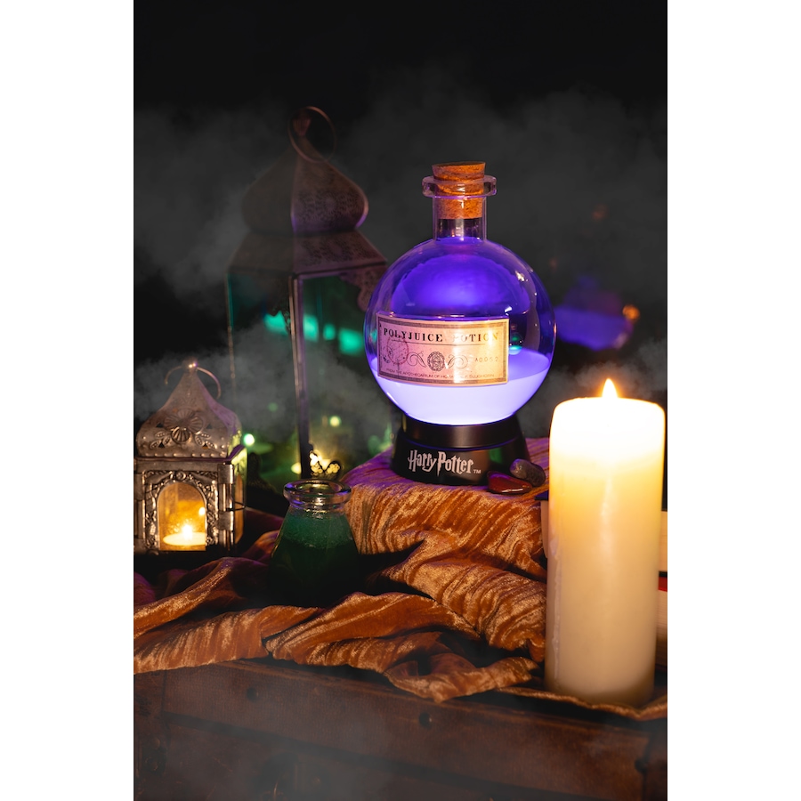 Image 705118_ALTMORE6.jpg, Product 705-118 / Price $39.99, Fizz Creations Harry Potter Potion Lamp (Large) from Fizz on TSC.ca's Home & Garden department