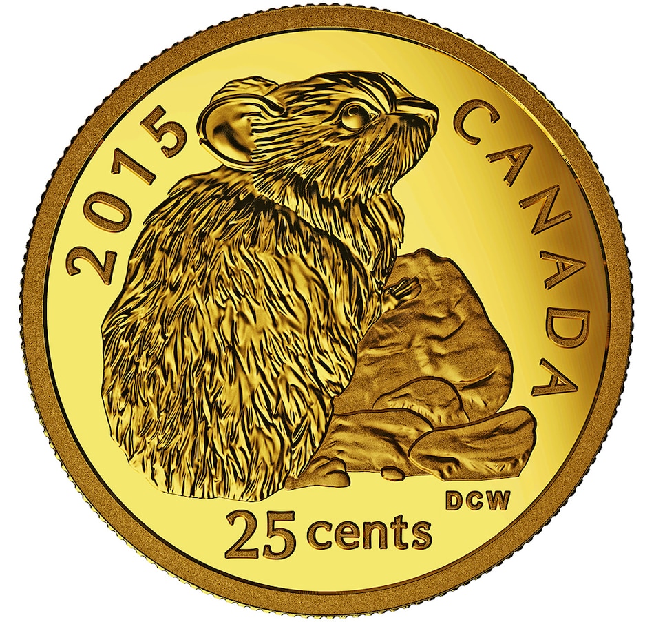 Image 705787.jpg, Product 705-787 / Price $199.95, 2015 25-Cent Rock Rabbit Pure Gold Coin from Royal Canadian Mint (RCM) on TSC.ca's Coins department