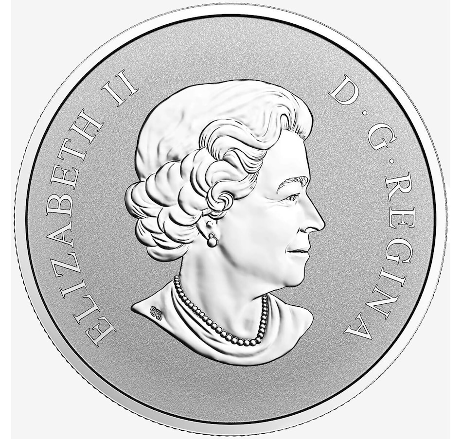 Image 707102_ALTMORE2.jpg, Product 707-102 / Price $198.00, 2017 $10 Welcome to the World Pure Silver Baby Coin from Royal Canadian Mint (RCM) on TSC.ca's Coins department