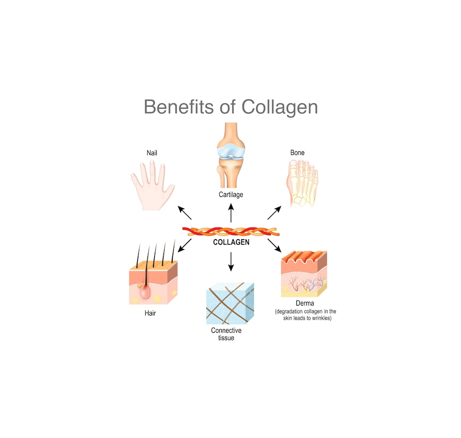 Image 707564_ALTMORE2.jpg, Product 707-564 / Price $99.99, VitaTree Unflavoured Care Collagen Powder 2 Pouch from VitaTree Nutritionals on TSC.ca's Health & Fitness department