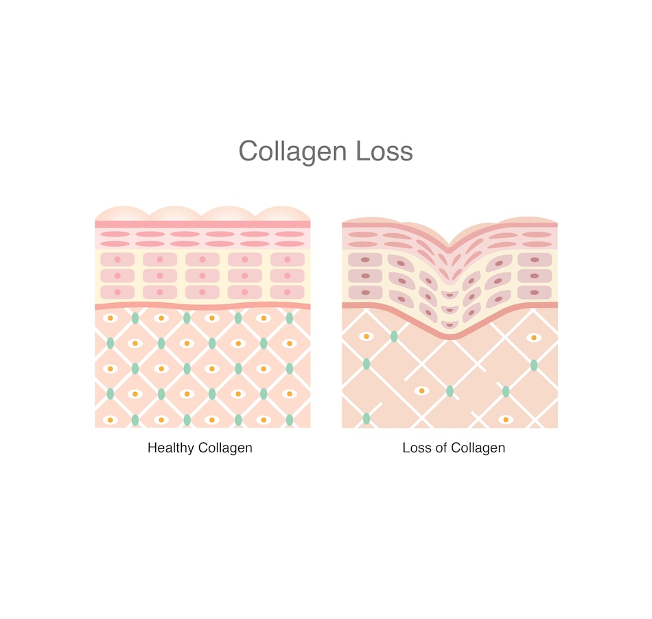 Image 707564_ALTMORE4.jpg, Product 707-564 / Price $99.99, VitaTree Unflavoured Care Collagen Powder 2 Pouch from VitaTree Nutritionals on TSC.ca's Health & Fitness department