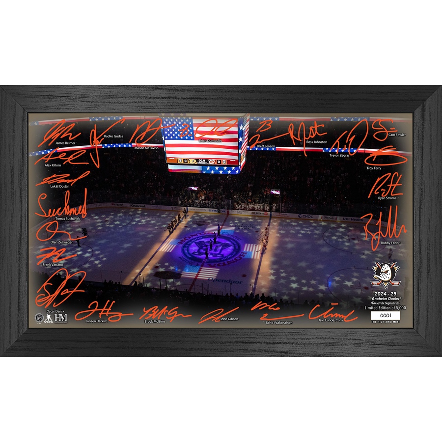 Image 709493.jpg, Product 709-493 / Price $99.99, Anaheim Ducks 2024–25 Signature Rink from Highland Mint on TSC.ca's Sports department
