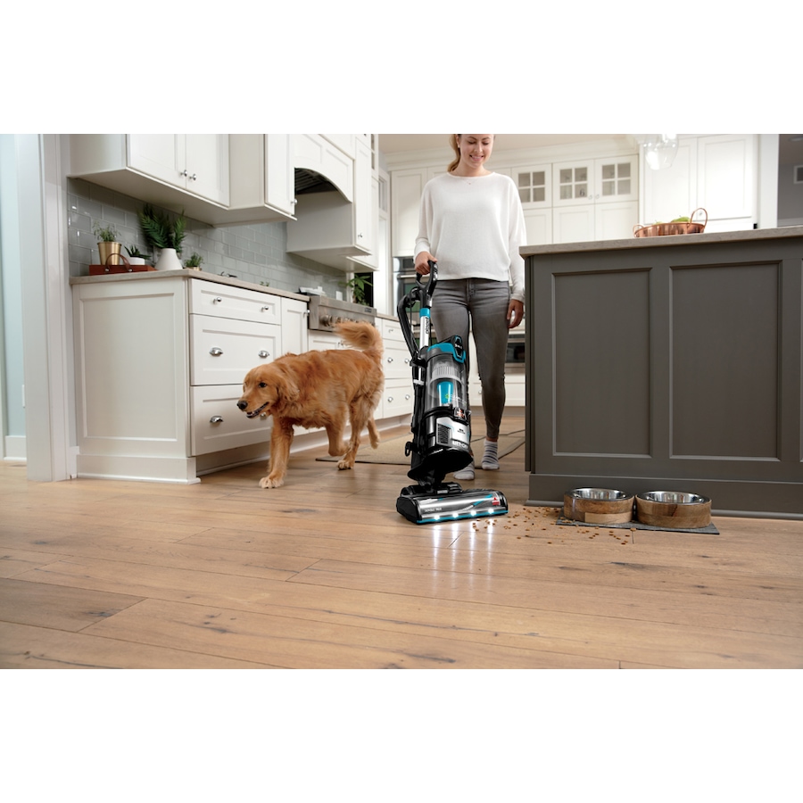 Image 709909_ALTMORE4.jpg, Product 709-909 / Price $279.99, Bissell Cleanview Allergen Lift-Off Pet from Bissell on TSC.ca's Home & Garden department