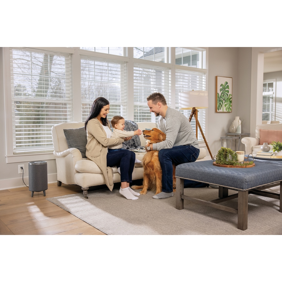 Image 709929_ALTMORE1.jpg, Product 709-929 / Price $169.99, Bissell MYair+ Air Purifier from Bissell on TSC.ca's Home & Garden department