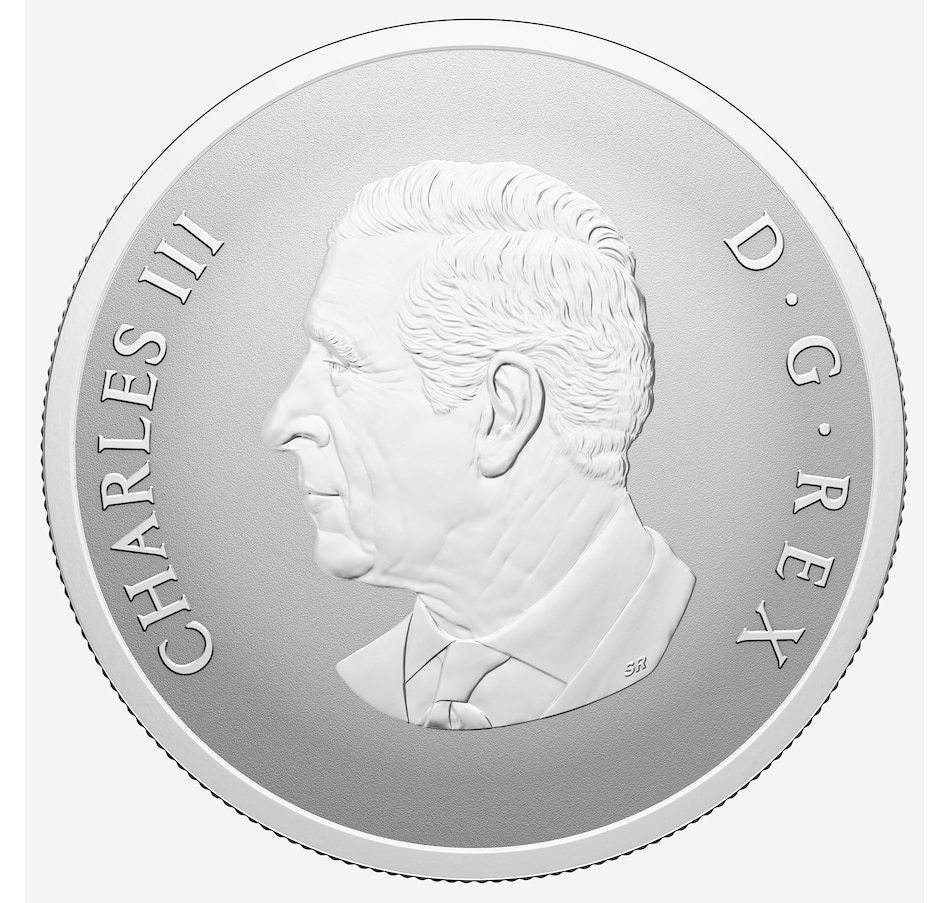 Image 711987_ALTMORE2.jpg, Product 711-987 / Price $134.95, 2025 $20 Remembrance Day Fine Silver Coin plus Three Bonus Coloured Poppy Coins from Royal Canadian Mint (RCM) on TSC.ca's Coins department