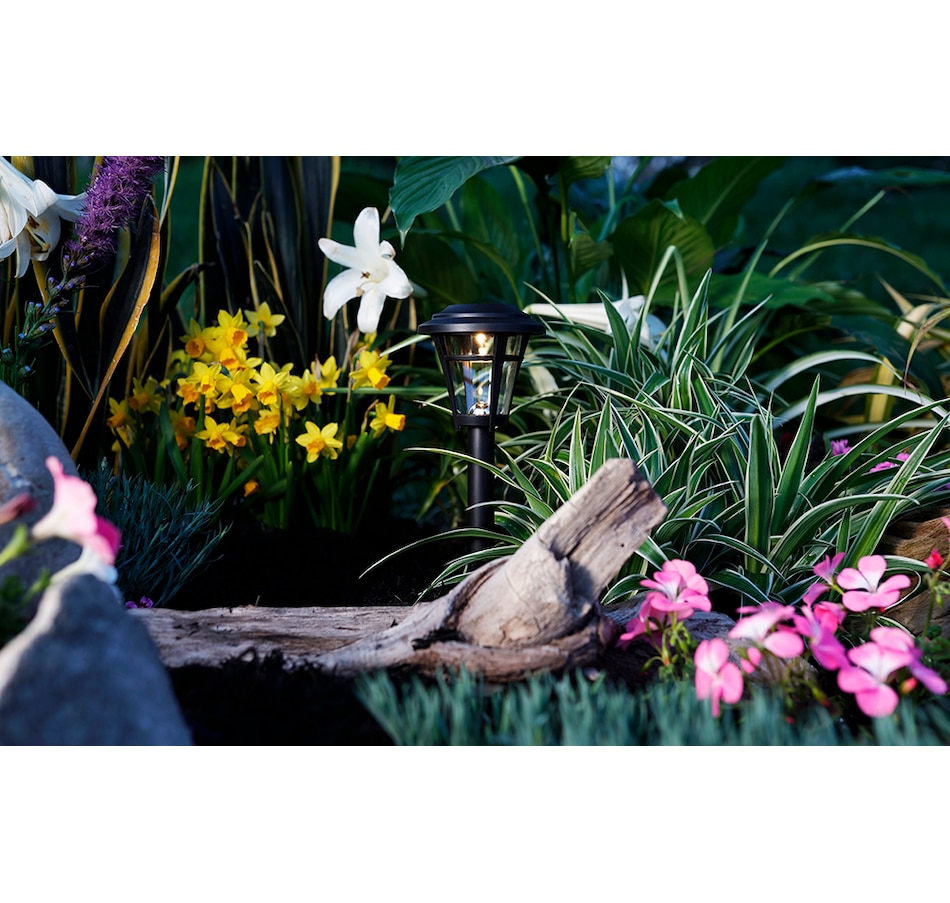 Image 712461_ALTMORE1.jpg, Product 712-461 / Price $24.99, Fusion Solar Black Pathway Light (6-Pack) from Fusion/Moonrays on TSC.ca's Home & Garden department