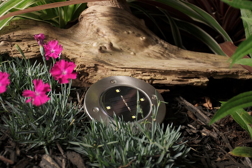 Fusion solar on sale deck lights