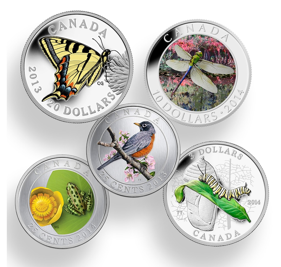 Toys & Hobbies - Coins - Spring Coin Collection - Online Shopping for ...
