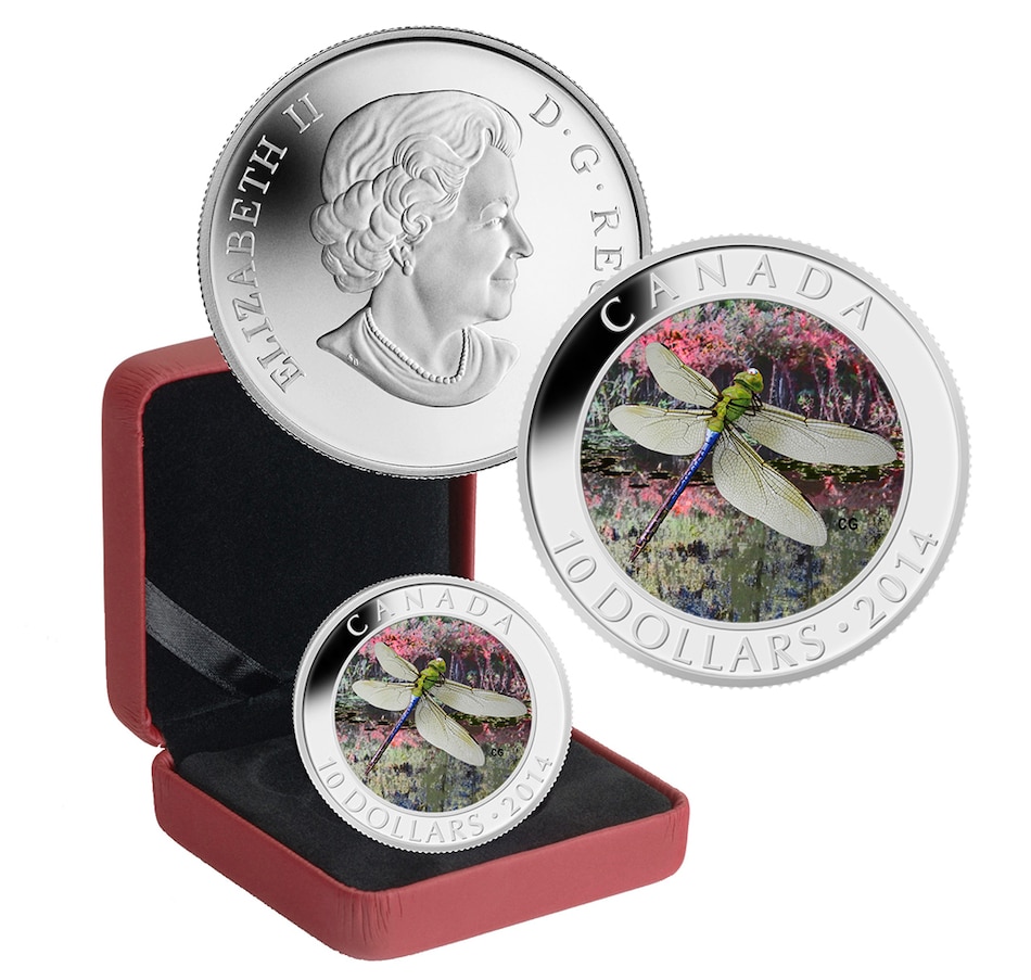Toys & Hobbies - Coins - Spring Coin Collection - Online Shopping for ...