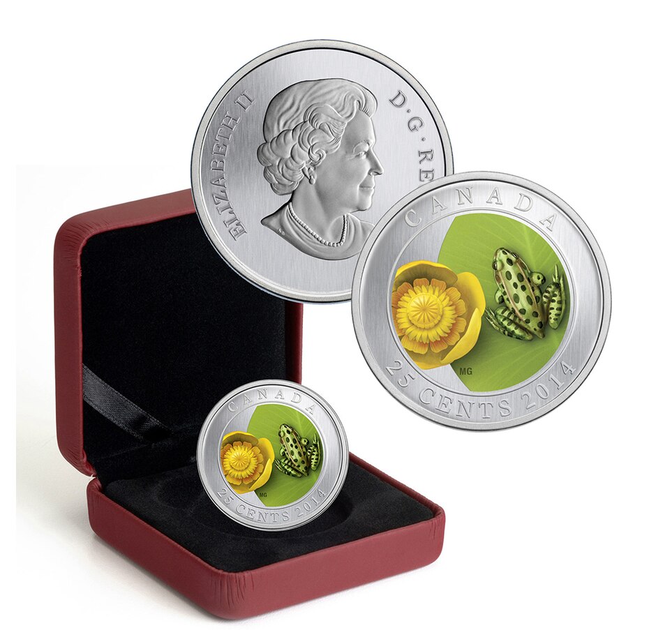 Toys & Hobbies - Coins - Spring Coin Collection - Online Shopping for ...