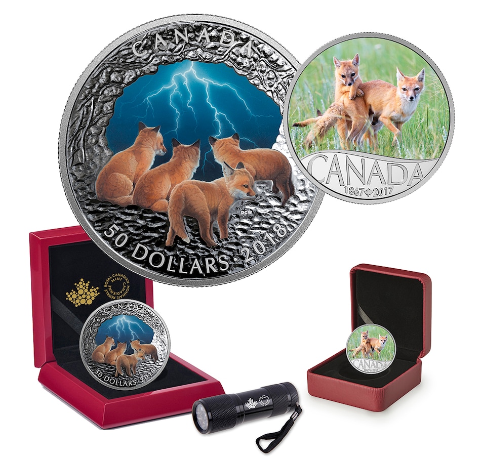 Image 713175.jpg , Product 713-175 / Price $578.88 , Stormy Night Foxes Den & Swift Fox from Royal Canadian Mint on TSC.ca's Coins department