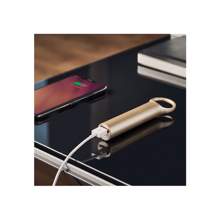 Image 713478_ALTMORE1.jpg, Product 713-478 / Price $39.99, Lexon Nomaday Power Bank (light gold) from Lexon on TSC.ca's Electronics department