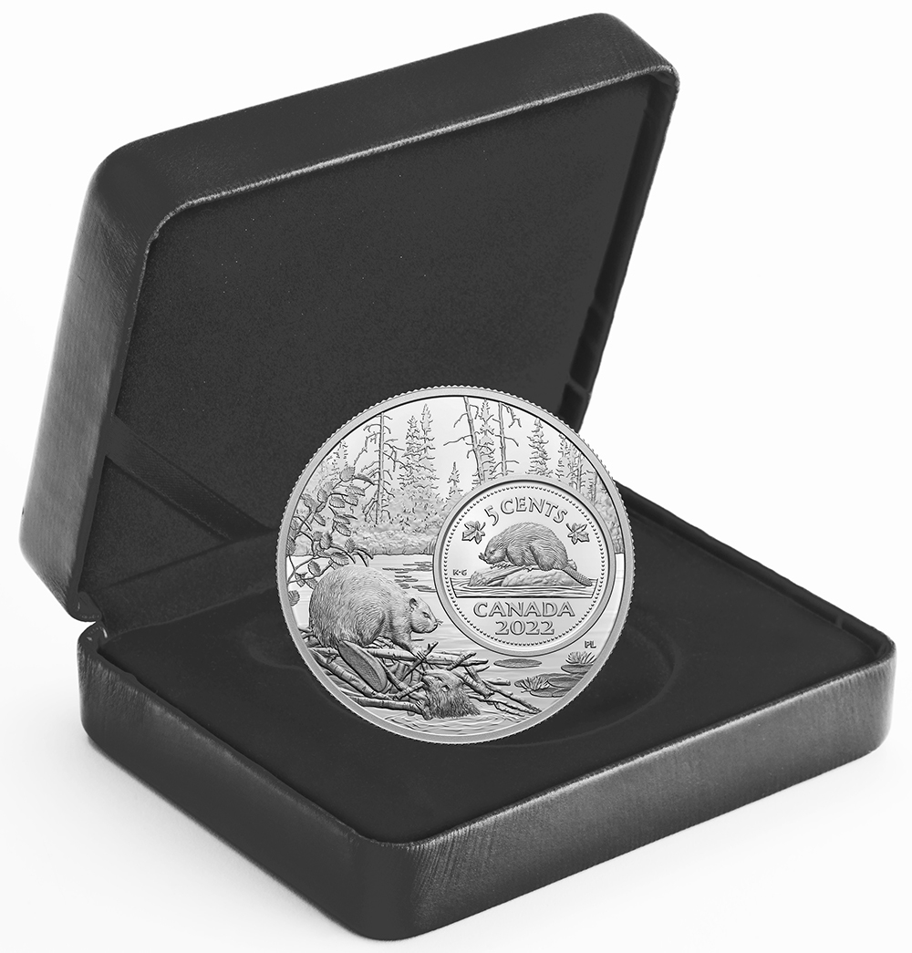 2022 Five-Ounce Five-Cent Pure Silver Coin - The Bigger Picture