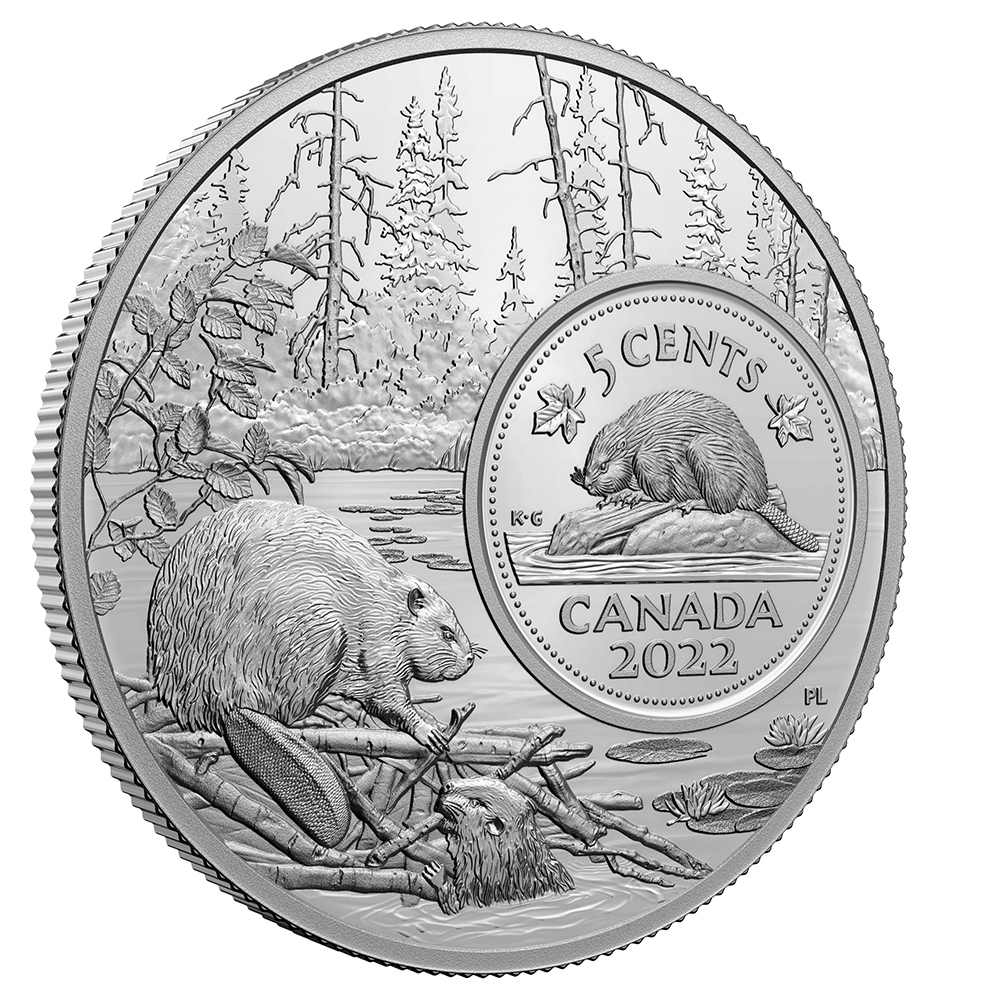 2022 Five-Ounce Five-Cent Pure Silver Coin - The Bigger Picture