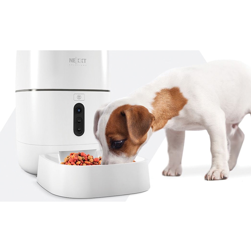 Dog food 2024 dispenser with camera