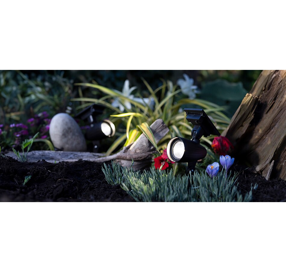 Image 714114_ALTMORE1.jpg, Product 714-114 / Price $12.99, Fusion Moonrays Solar Spotlight from Fusion/Moonrays on TSC.ca's Home & Garden department