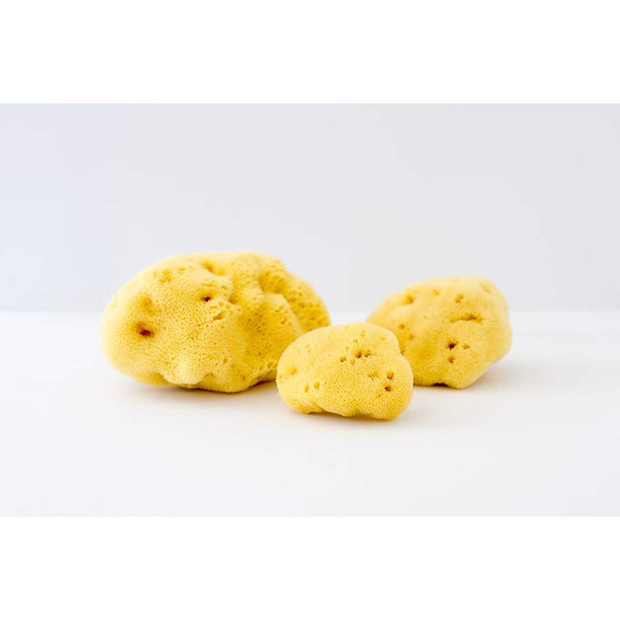 Image 714251.jpg, Product 714-251 / Price $82.00, Re.Vityl Organic Sponge Trio from RE.VITYL® on TSC.ca's Beauty department