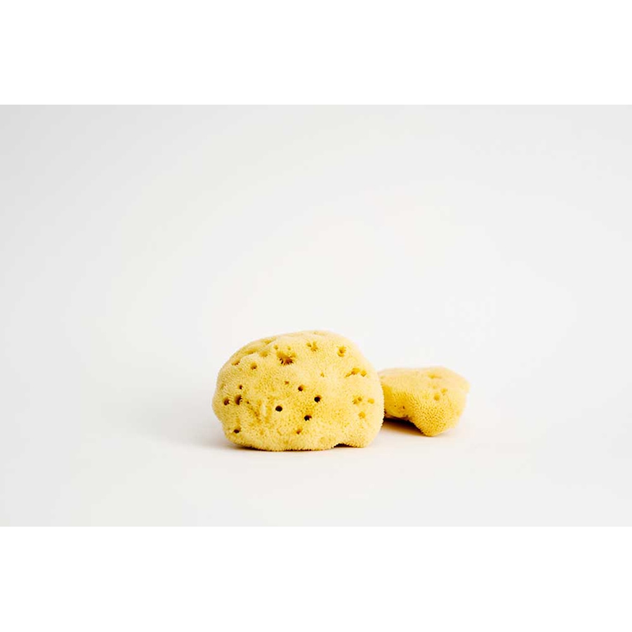 Image 714251_ALTMORE1.jpg, Product 714-251 / Price $82.00, Re.Vityl Organic Sponge Trio from RE.VITYL® on TSC.ca's Beauty department