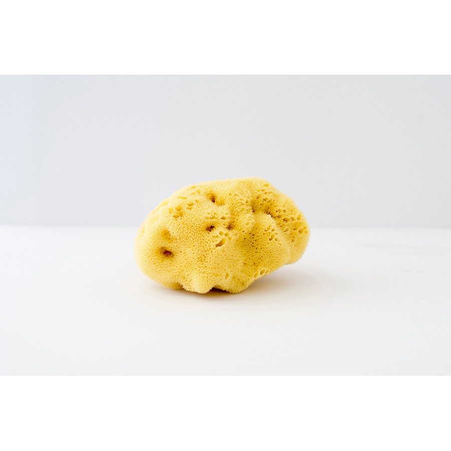 Image 714251_ALTMORE2.jpg, Product 714-251 / Price $82.00, Re.Vityl Organic Sponge Trio from RE.VITYL® on TSC.ca's Beauty department