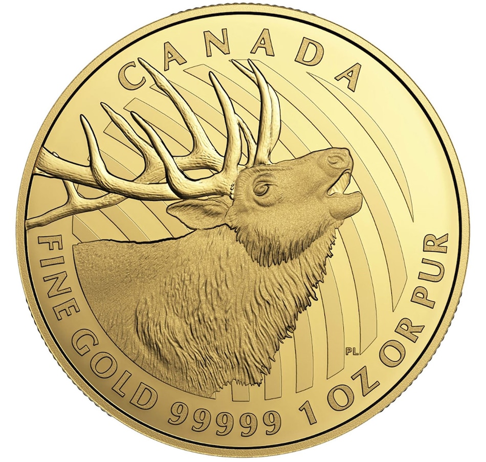 Image 714350.jpg, Product 714-350 / Price $4,299.00, 2017 $200 .99999 Fine Gold Elk Coin from Royal Canadian Mint on TSC.ca's Coins department