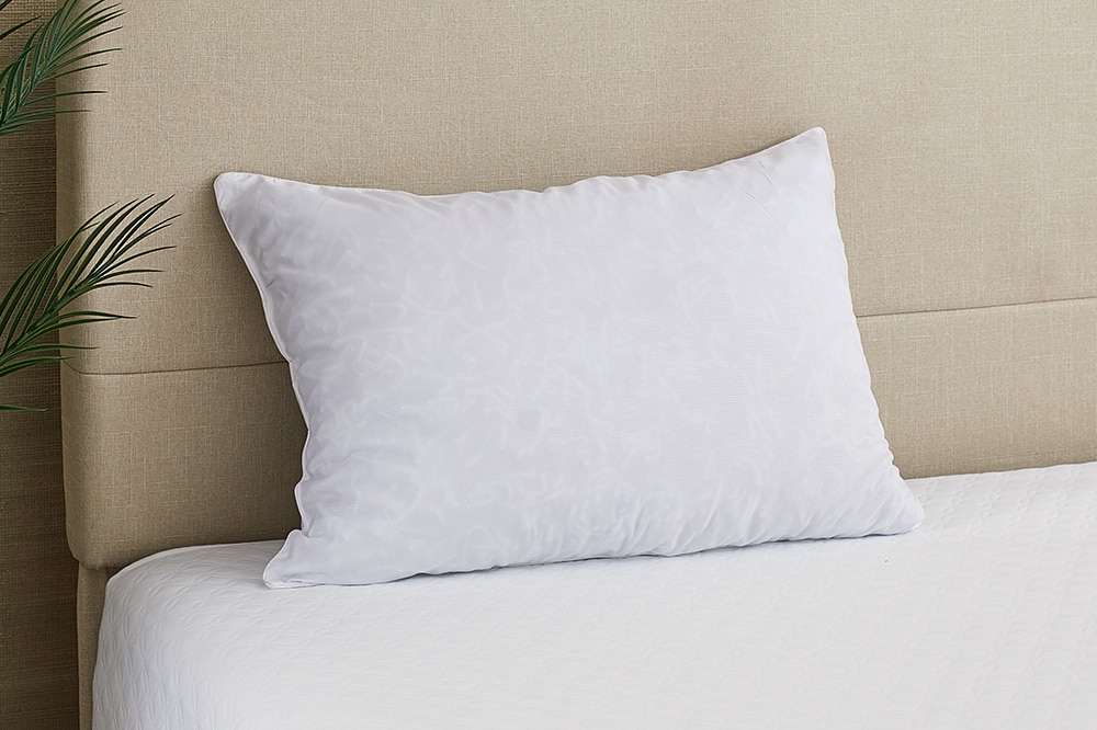 Tsc discount my pillow