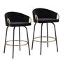 tsc.ca - Worldwide Lavo 26'' Velvet Counter Stool (Set Of 2)