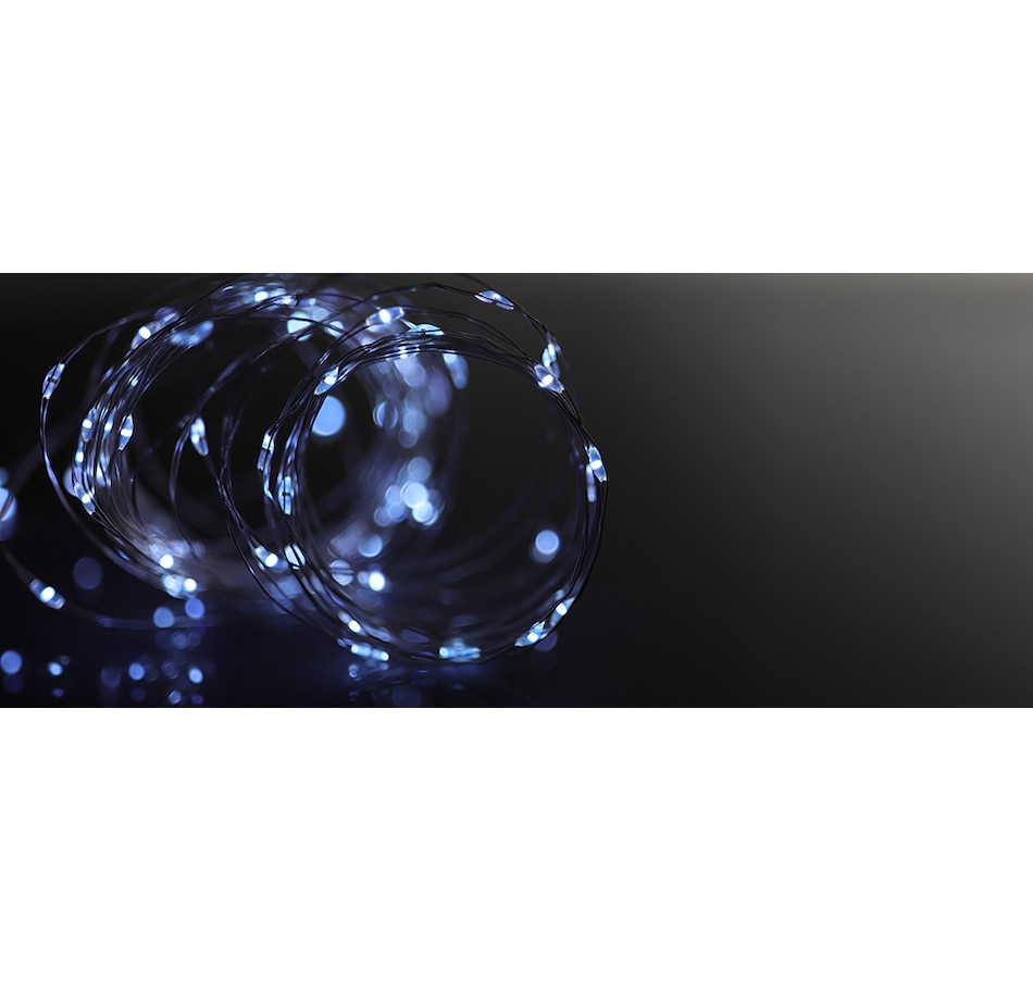 Image 716641_ALTMORE2.jpg, Product 716-641 / Price $22.99, Fusion 120 LED String Light with 8 Functions (Bright White, 2-Pack) from Fusion/Moonrays on TSC.ca's Home & Garden department